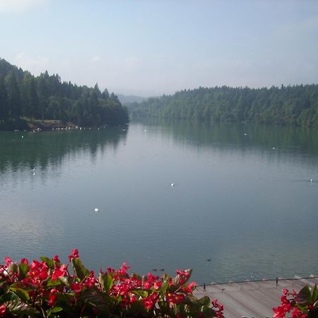 Bed and Breakfast Gostisce Jezero Medvode Exterior foto