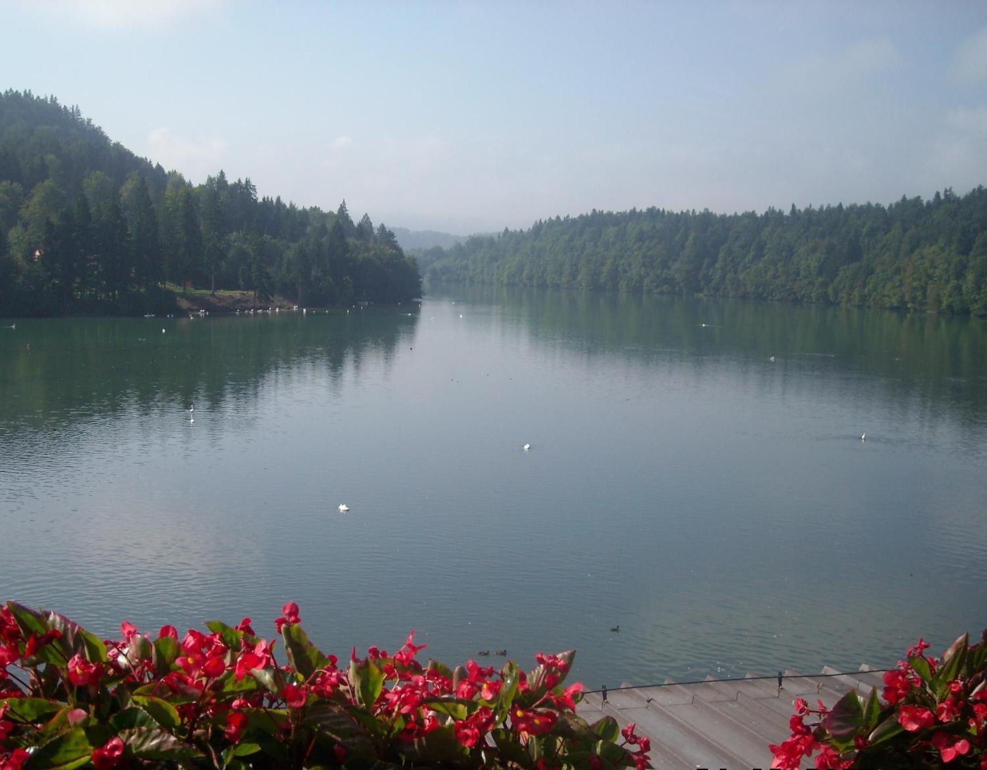 Bed and Breakfast Gostisce Jezero Medvode Exterior foto